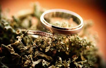 What is White Gold? Everything You Need to Know About its Making What is White Gold? Everything You Need to Know About its Making