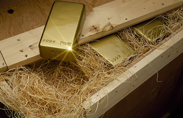 Understanding the gold standard Understanding the gold standard