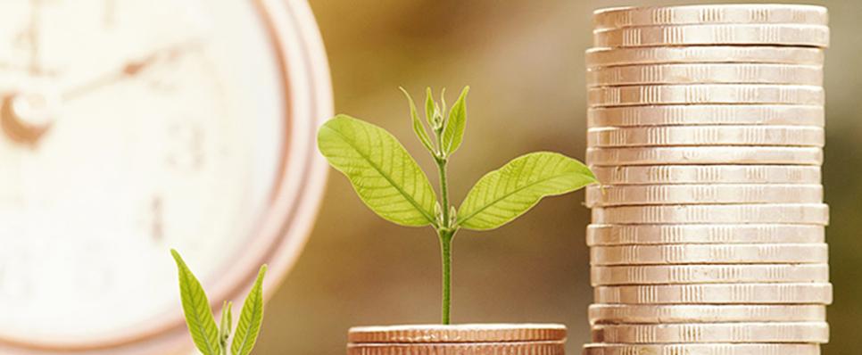 Gold Investments—Fantastic Combination of Wealth Protection and Value Appreciation Gold Investments—Fantastic Combination of Wealth Protection and Value Appreciation
